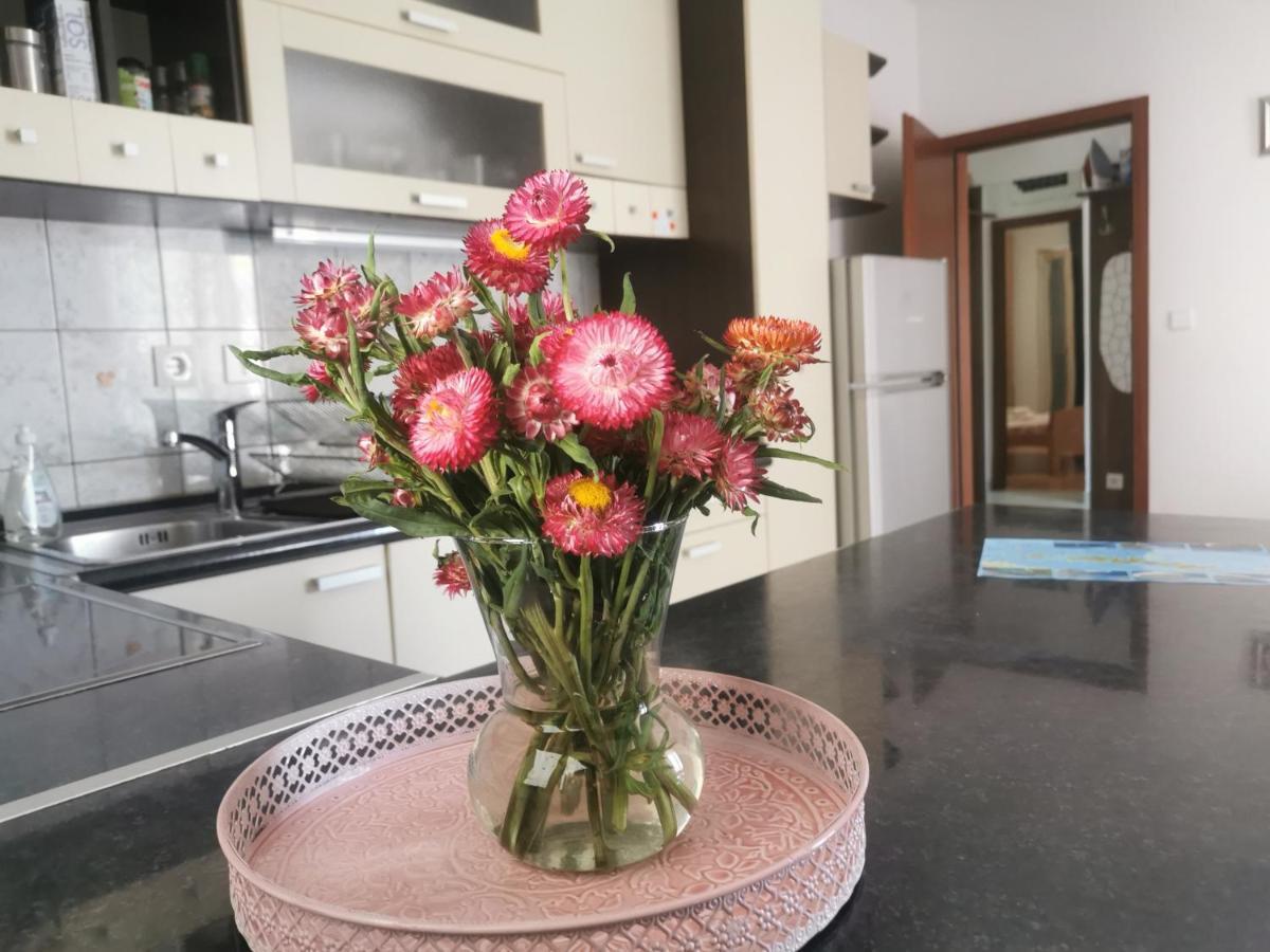 Pine Apartment هفار المظهر الخارجي الصورة